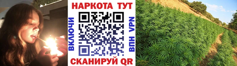 Хочу наркоту Игра APVP  Конопля  Кокаин  Галлюциногенные грибы  Гашиш  Меф 