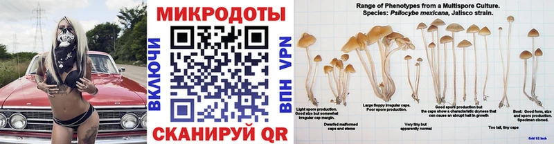 Псилоцибиновые грибы Cubensis MEGA Игра